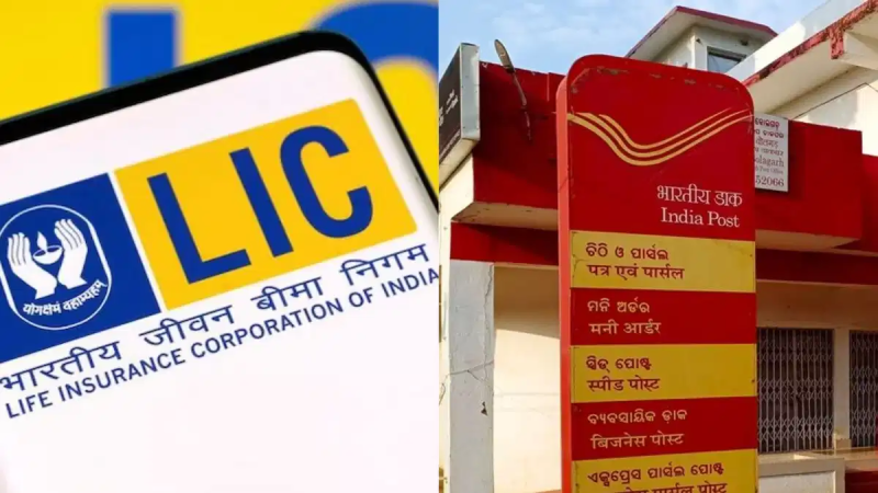 Post Office और LIC की योजना में अंतर, जानिए कौन-सी स्कीम है फायदेमंद Post Office और LIC की योजना में अंतर, जानिए कौन-सी स्कीम है फायदेमंद